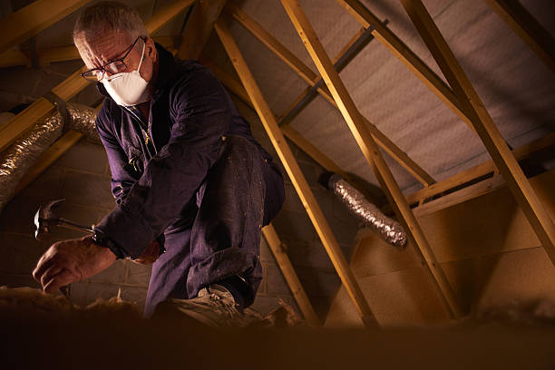 Best Insulation Repair Services  in Sharon, TN